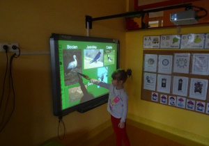 Dziewczynka stoi przy tablicy w prawej uniesionej dłoni trzyma wskaźnik skierowany na bociana.